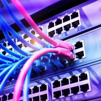 Pink and blue ethernet cables plugged into the back of a network switch.